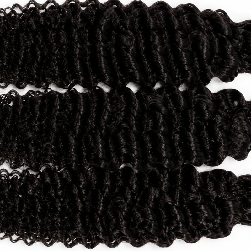 raw burmese curl deal